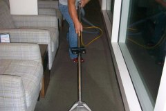 Carpet Cleaning