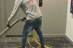 Carpet Cleaning