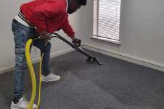 Carpet Cleaning