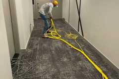 Carpet Cleaning