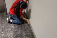 Carpet Cleaning