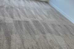 Carpet Cleaning