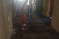 Carpet Cleaning